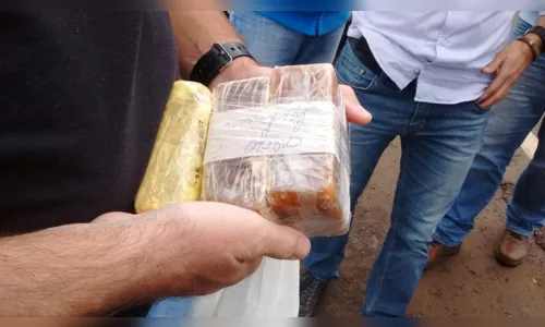 
							Polícia Civil prende dupla com cerca de 2 kg de crack e pasta base de cocaína em Jandaia do Sul
						
						