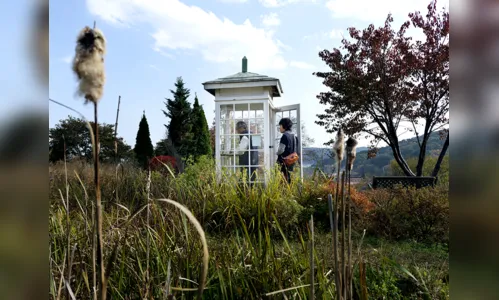 
						
							Telefone em colina é usado para 