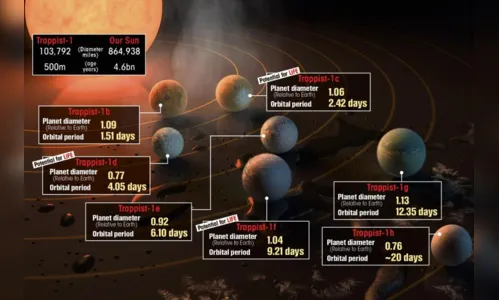
							Estudo aponta que harmonia planetária de TRAPPIST-1 é 'musical'; veja vídeo e ouça a música 
						
						