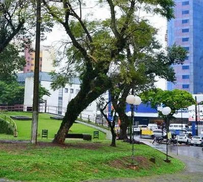 Prefeitura vai elaborar um levantamento das árvores que estão plantadas na praça. Foto: Tribuna do Norte