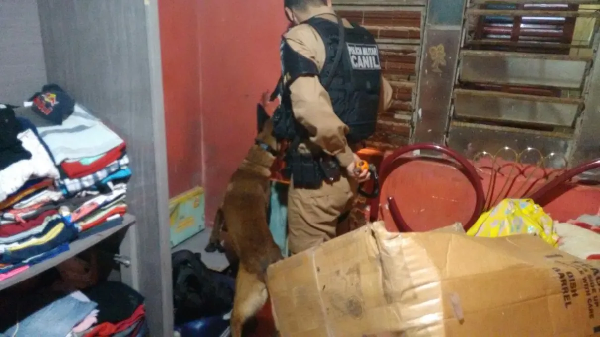 Canil policial durante cumprimento de mandado de busca e apreensão. Foto: Divulgação/PM