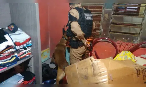 Polícia apreende maconha e crack durante operação conjunta em Jandaia do Sul