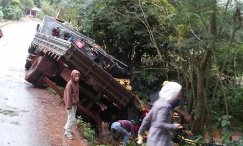 Caminhonete carregada com tomates quase cai em rio 