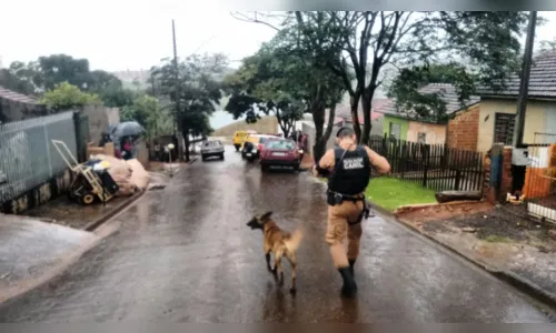 
							Polícia apreende maconha e crack durante operação conjunta em Jandaia do Sul
						
						