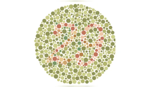 
						
							Você é daltônico? Faça o teste e descubra que número você enxerga
						
						