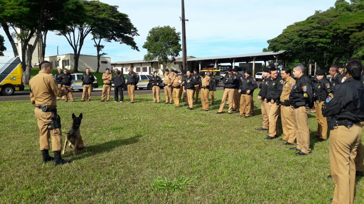 Policiais do 10º BPM durante treinamento. Foto: Assessoria