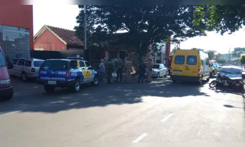 
							Onça é encontrada em área urbana de Rolândia
						
						