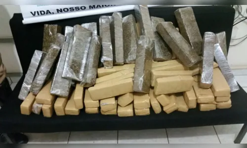
							PRE apreende mais de 86 kg de maconha na PR-323
						
						