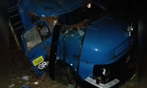 Carreta carregada com gado tomba na PR-466 em Manoel Ribas