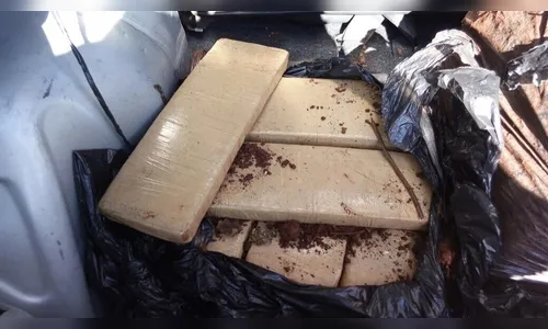 Canil Integrado de Arapongas apreende 20 quilos de maconha na região