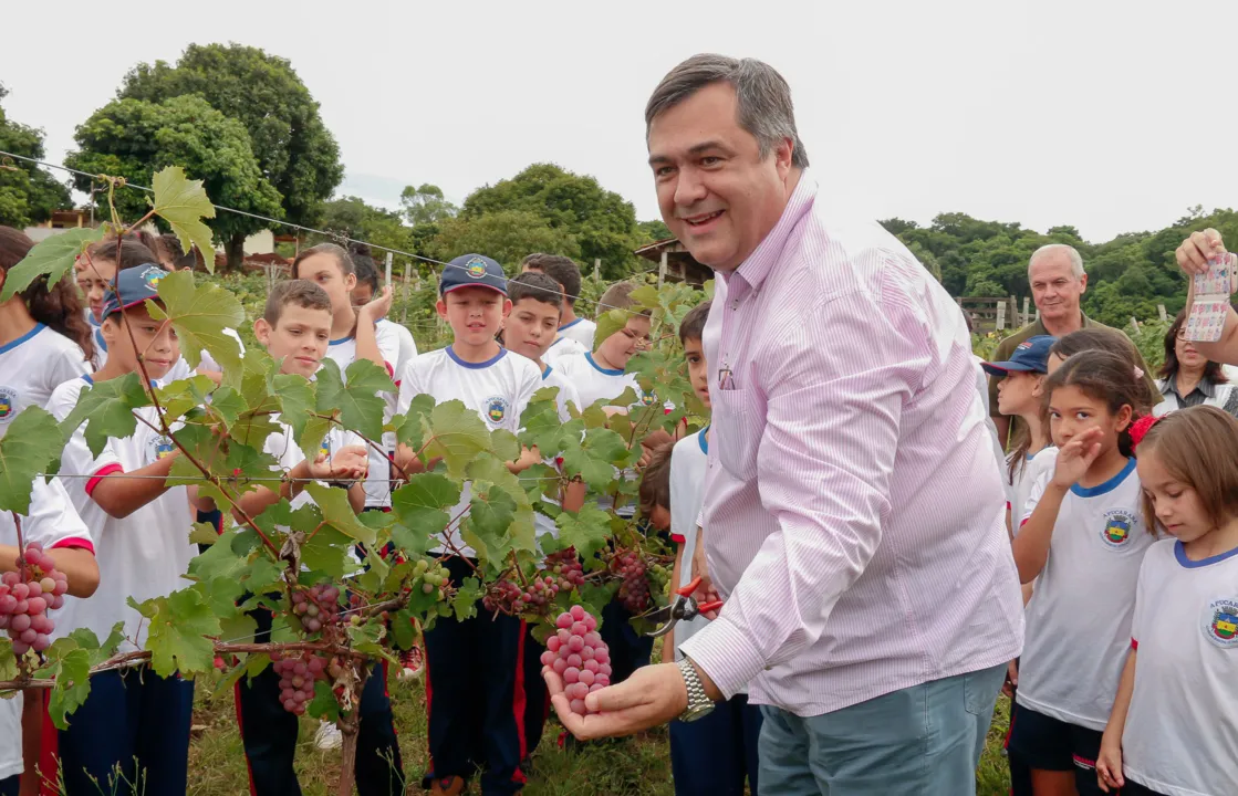 “Terra Forte” atinge 50 toneladas de alimentos para merenda escolar