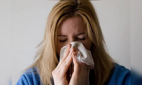 Ministério da Saúde garante que não existe vírus H2N3 no Brasil