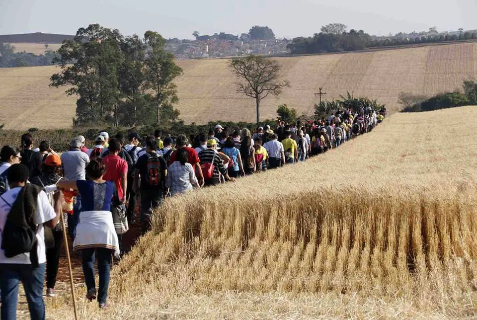 Maior parte da caminhada será percorrida em estradas rurais de Arapongas (Foto: Divulgação)