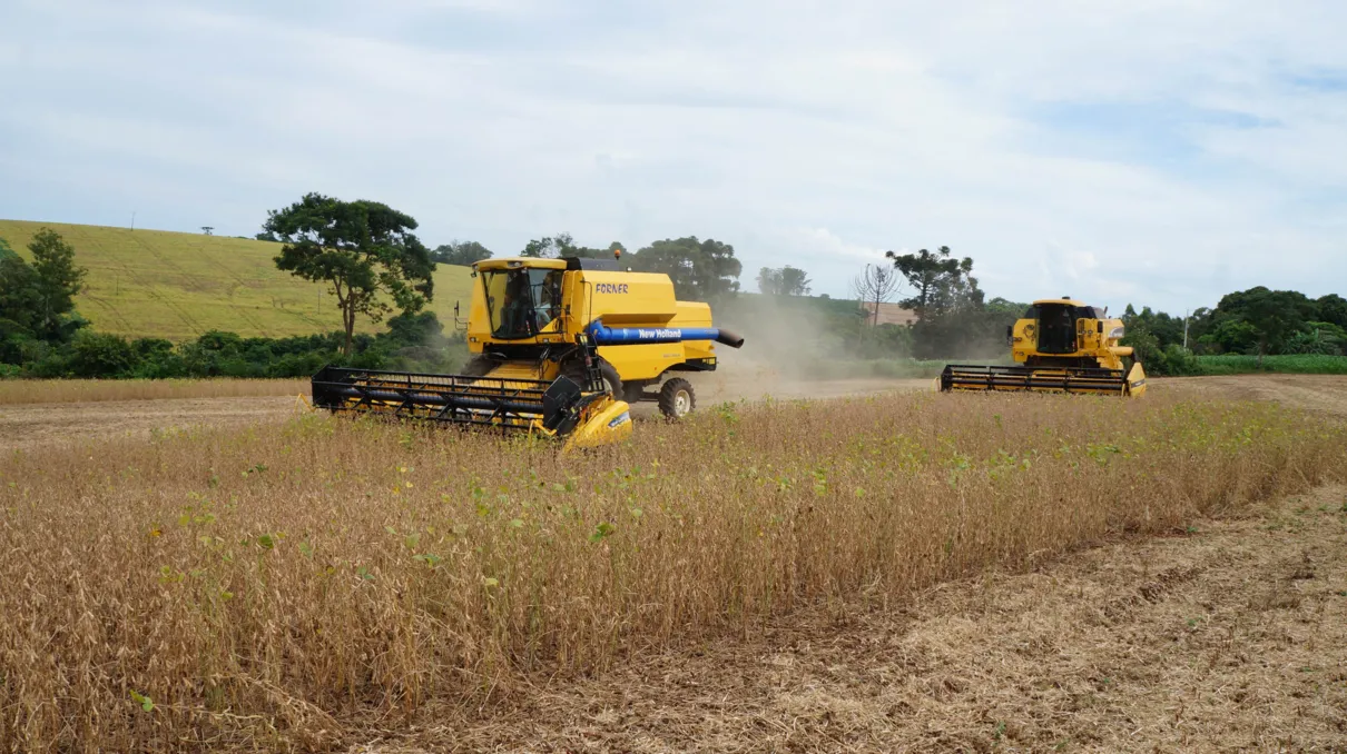 Clima propício e investimento em agricultura de precisão vem elevando produtividade da soja na região norte do Paraná - Foto: Ivan Maldonado