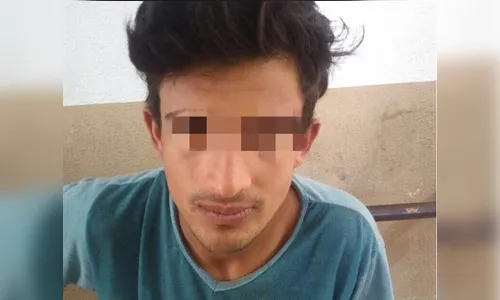 Rapaz que cometeu furtos em Apucarana e região é preso em Arapongas