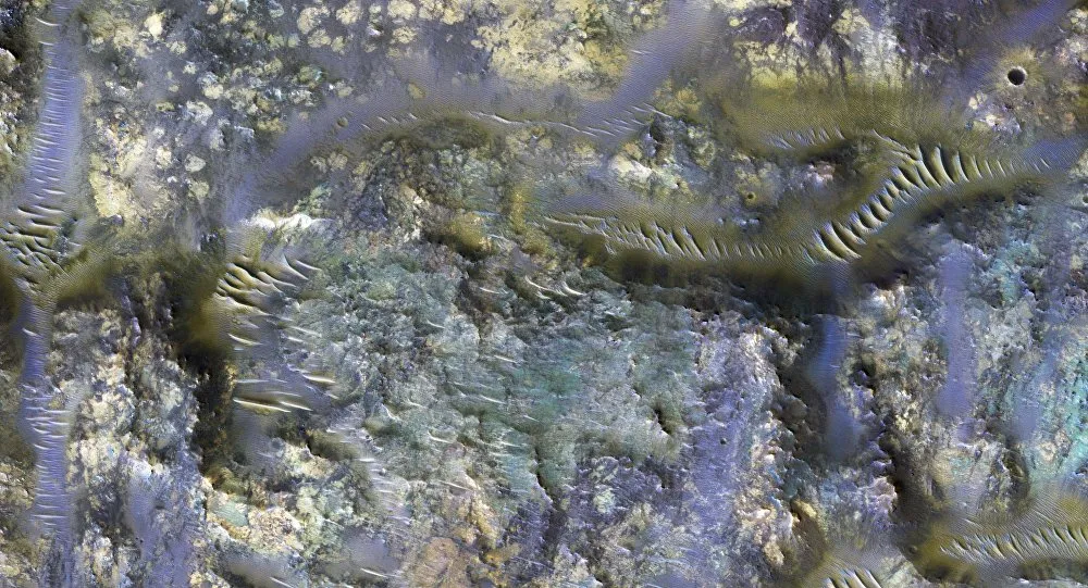 mostra o que parece ser o leito de um rio, com o aspecto similar a larvas - Foto: NASA
