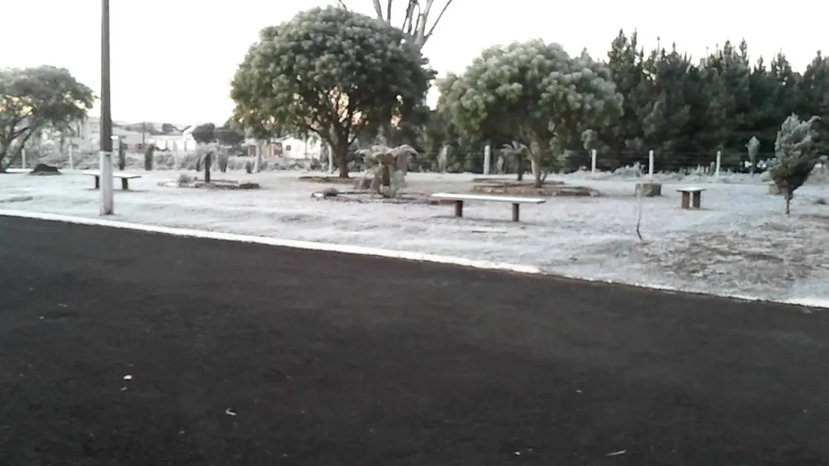 Em Palmas, no sul do Paraná, ocorreu neve - Imagem - Reprodução - YouTube