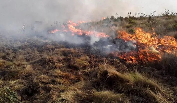 Incêndios em vegetações continuam exigindo trabalho recorrente do Corpo de Bombeiros - Foto: Luiz Demétrio/TNONLINE/Imagem Ilustrativa