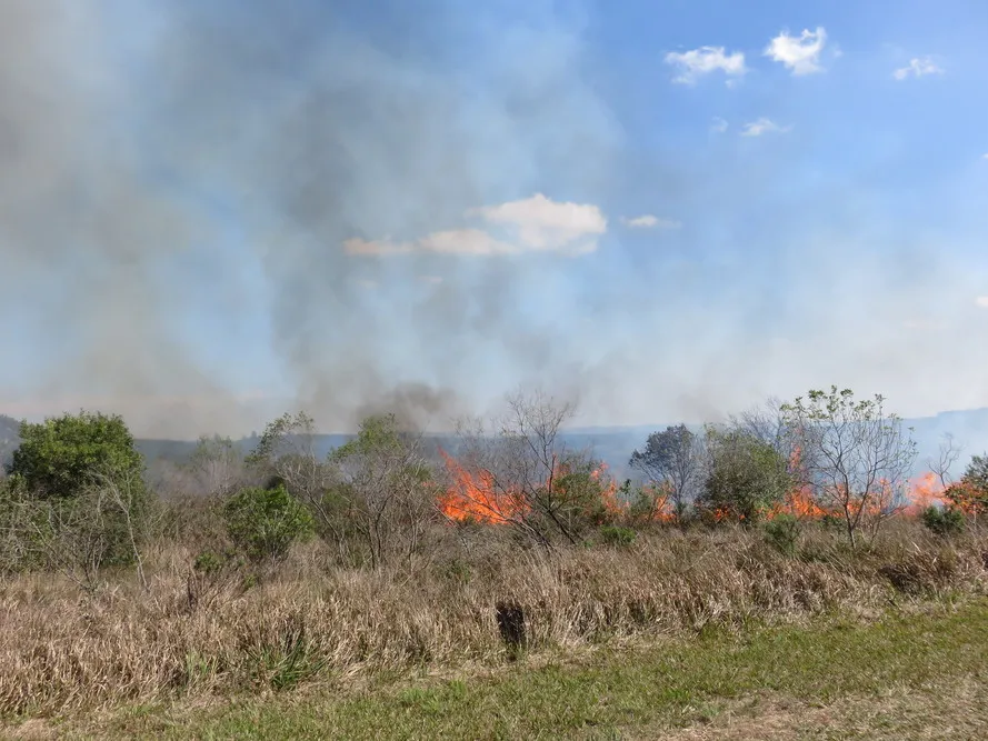 Clima aumenta os riscos de queimadas em áreas rurais. Foto: AEN