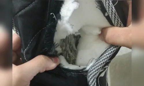 Parentes de presos tentam repassar colchão recheado de maconha para dentro de cadeia
