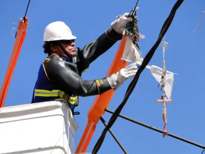 Funcionário da Copel retira pipa enroscada em fios: problema recorrente nas férias escolares - Foto: Copel/Divulgação