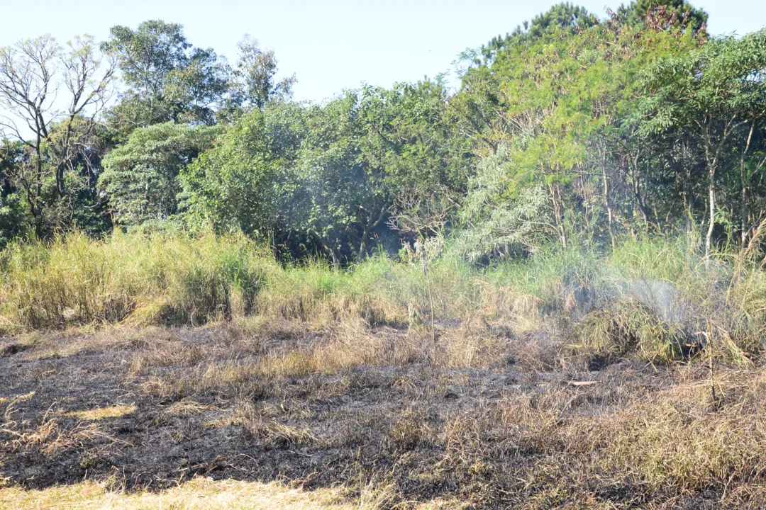 Área atingida pelo fogo fica aos fundos do colégio agrícola. Foto: Delair Garcia