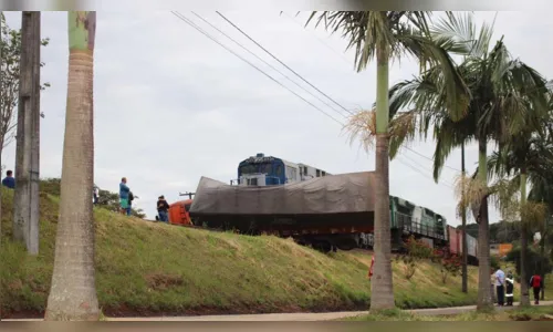 
							Trem arrasta carreta por 200 metros em trevo de acesso a Jandaia do Sul
						
						