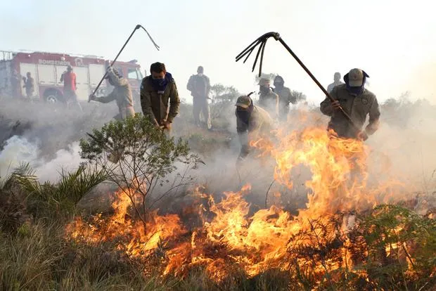 Incêndio no Parque Estadual de Vila Velha: trabalho redobrado para os Bombeiros - Foto: Diário dos Campos