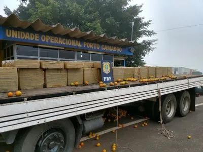 Droga estava escondida na carroceria de uma caminhão, em meio a um carga de laranja - Foto: PRF
