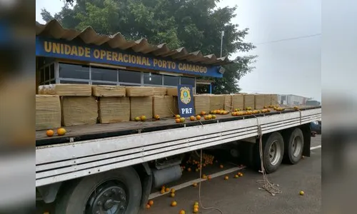 PRF apreende 2,1 toneladas de maconha em meio a carga de laranjas no Paraná