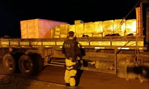PRF apreende 2,5 t de maconha em carga de peças para câmara frigorífica
