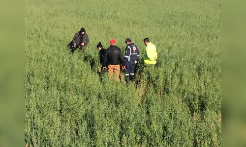 Corpo é localizado em plantação de aveia na margem da PR-444 