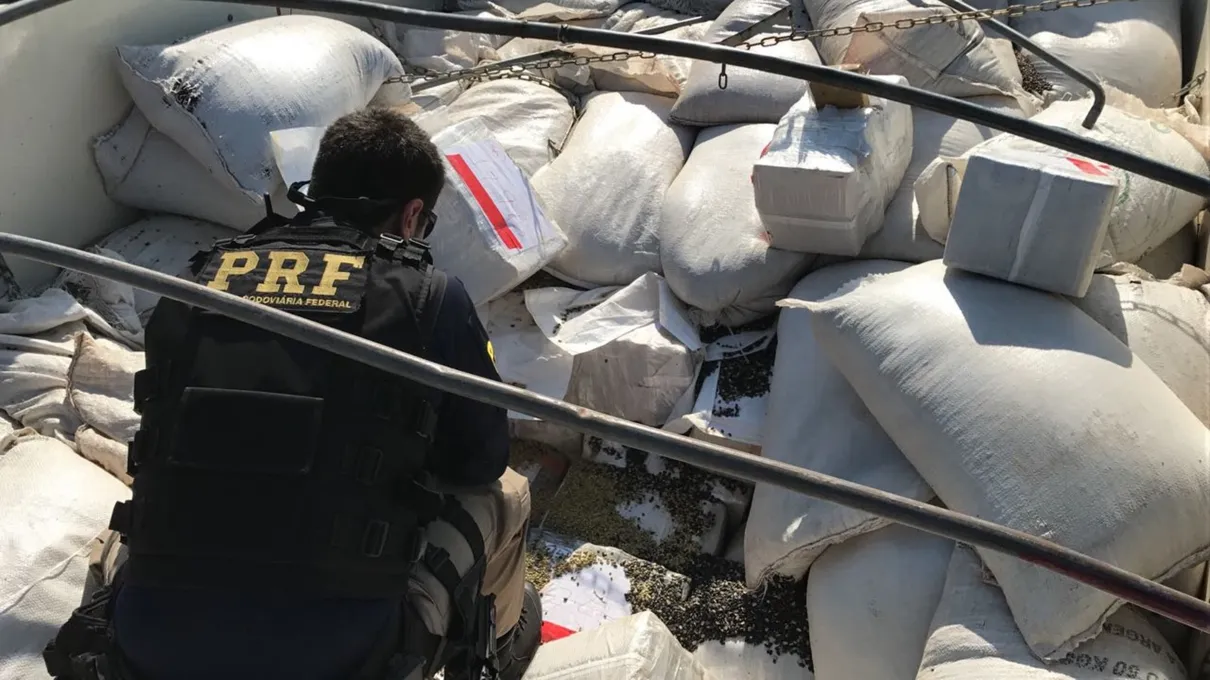 Agentes da PRF avaliam que tenham sido tiradas de circulação entre três e cinco toneladas de maconha - Foto: PRF/Divulgação