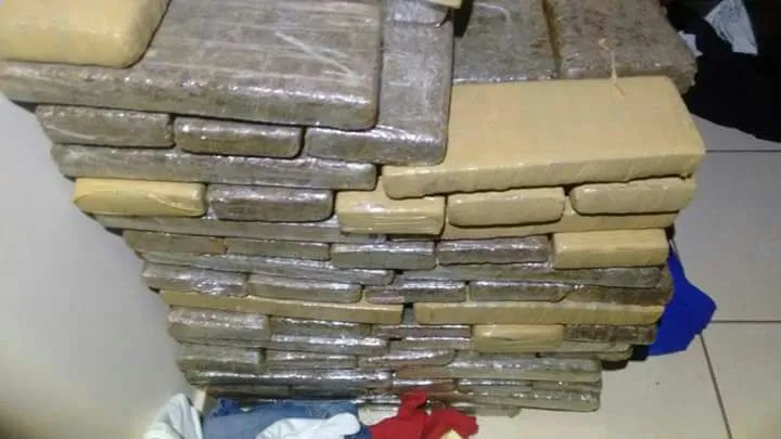 Na casa do suspeito foram encontrados 287 kg de maconha. Foto: Divulgação