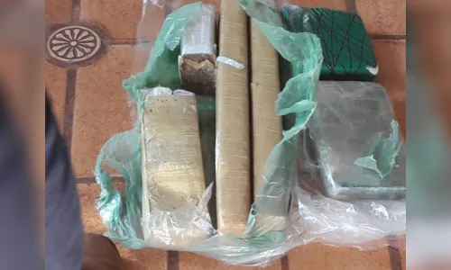 
							Cerca de 700 quilos de drogas são incinerados em Arapongas
						
						
