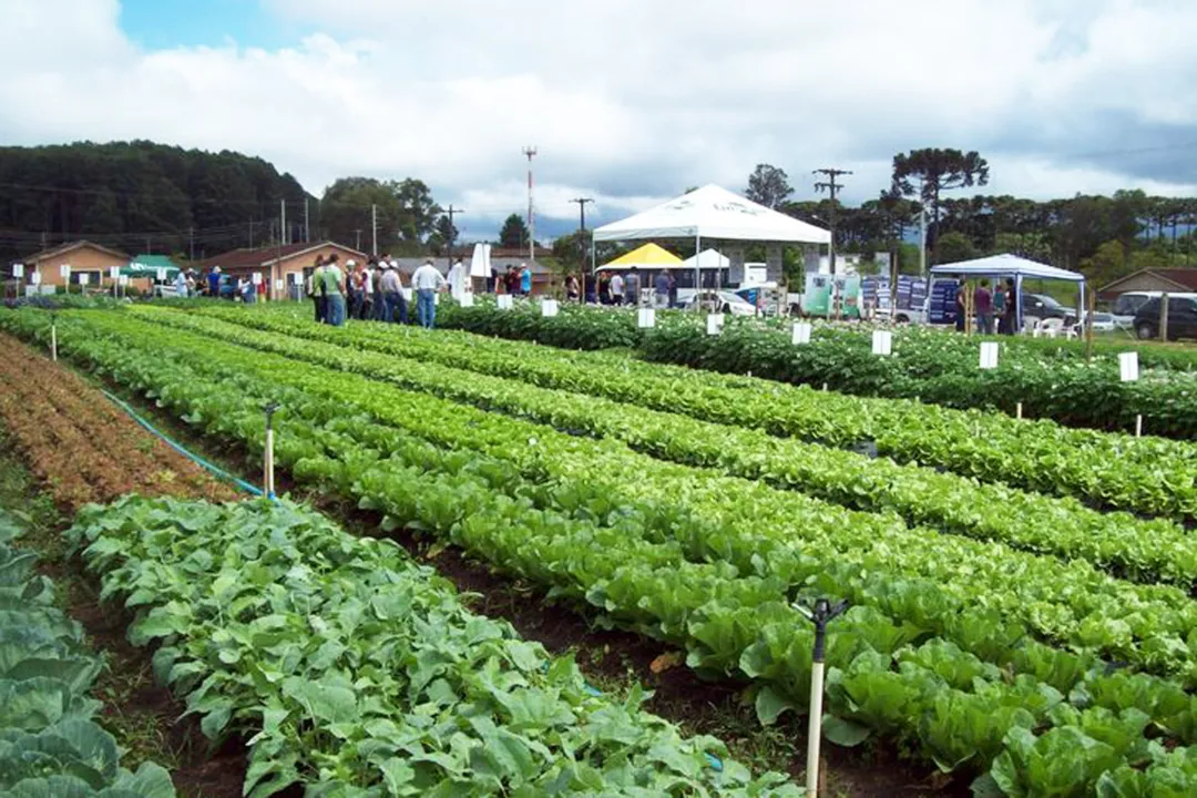 Simpósio Sul Brasileiro reunirá mais de 600 agricultores em Maringá