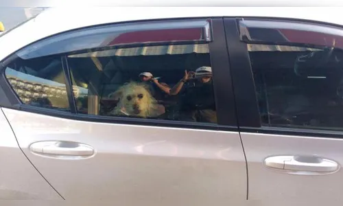 Bombeiros quebram vidro para resgatar cachorros presos em carro em Tramandaí