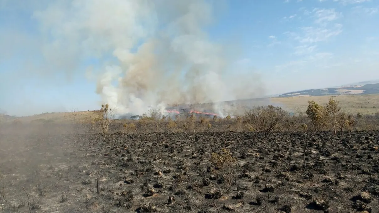 O Instituto Ambiental do Paraná (IAP), que administra o parque, informou incêndio foi iniciado por um grupo de pesquisadores da UFPR - Foto: Divulgação/IAP