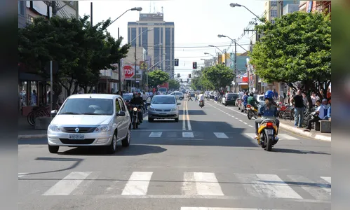 Arapongas desenvolve plano de arborização urbana