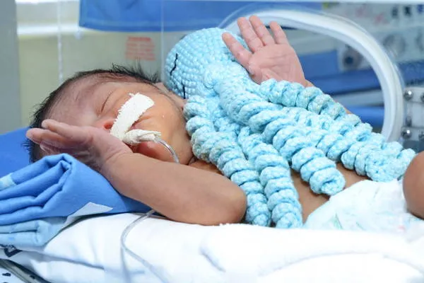 Polvos ajudam a melhorar as condições dos bebês internados na UTI neo-natal
