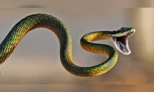 Vídeo mostra serpentes deslizando em árvores e 'voando'