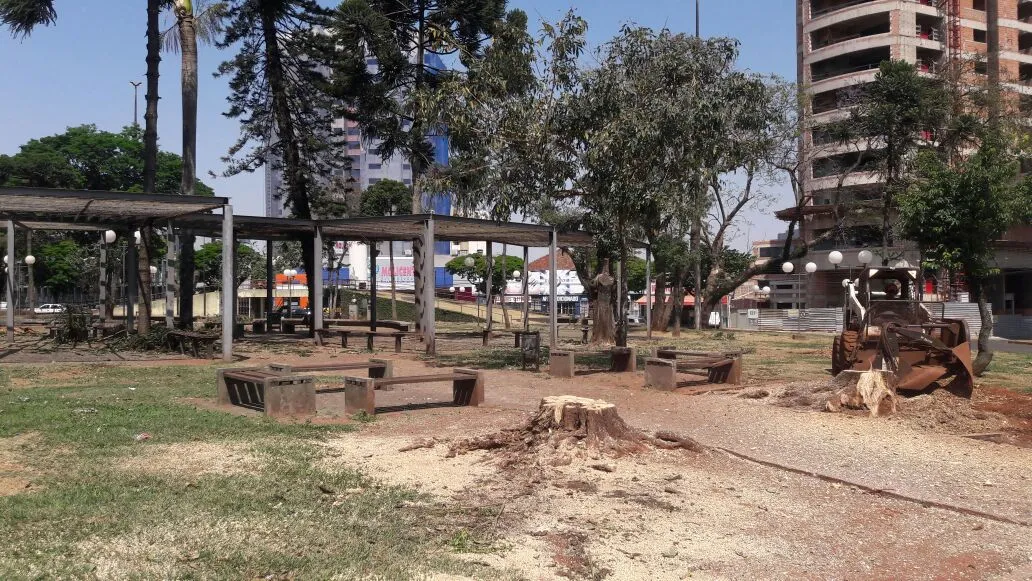 Arvores localizadas na Praça do Redondo foram cortadas neste domingo (17) ​Foto: Sérgio Rodrigo/TN