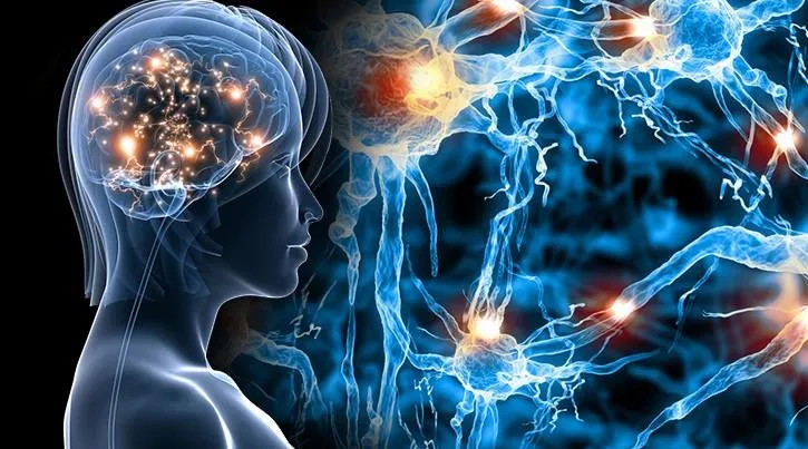 Segundo cientistas nossa mente responde a comandos de todo nosso corpo e não apenas neurológicos. (foto - google)