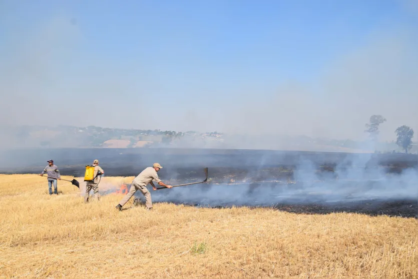 Bombeiros receberam apoio de agricultores para conntrolar as chamas (Foto: Ivan Maldonado) 