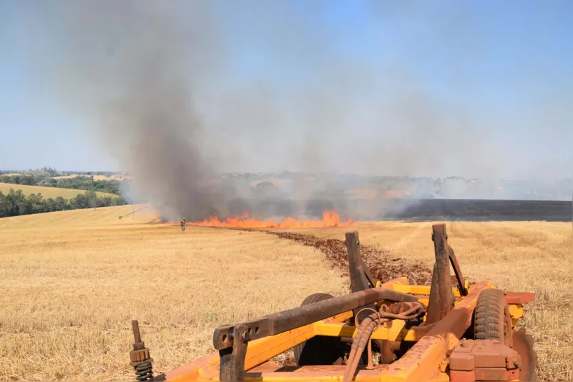  Bombeiros receberam apoio de agricultores para conntrolar as chamas (Foto: Ivan Maldonado) 