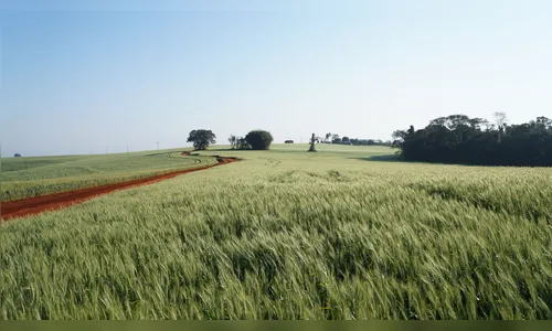 Agricultor tem prazo para entregar a declaração do ITR 