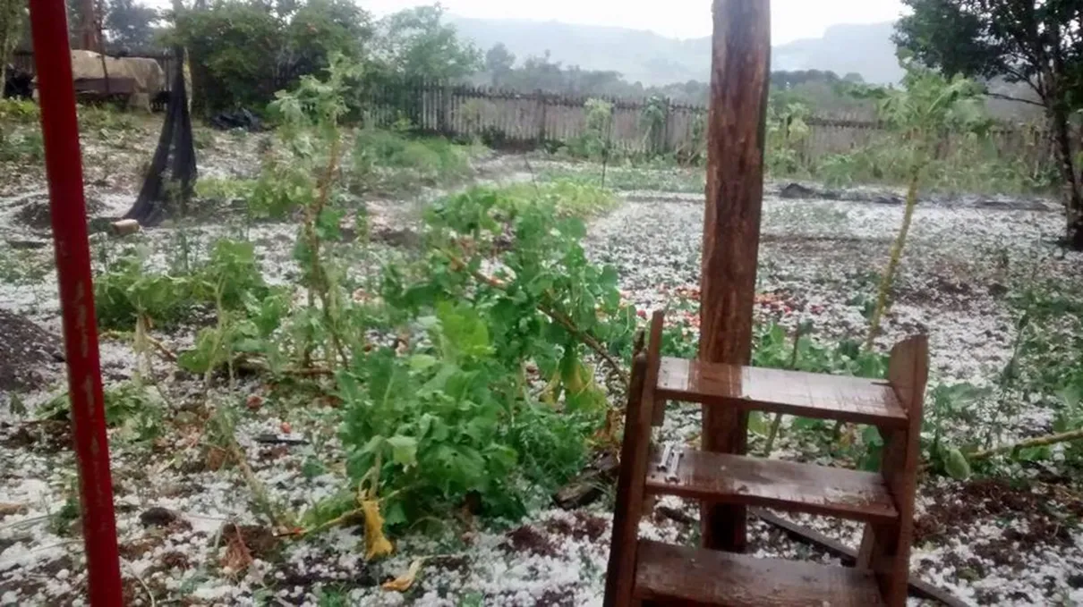  Choveu granizo no município de Irati neste sábado (23) - Foto: César Hul/Arquivo Pessoal