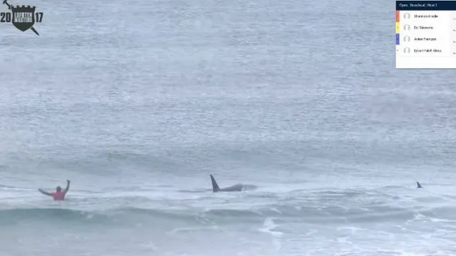  Orcas 'invadiram' torneio de surfe -  Foto: Reprodução/Facebook/Lofoten Masters