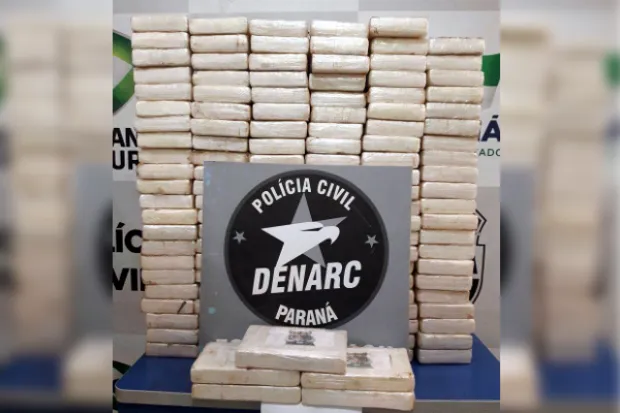 Droga estava dividida em 146 tabletes, cada um de 1kg. (foto - divulgação/polícia civil)