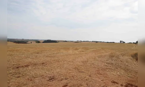 Produtores de soja aguardam chuva para plantar 